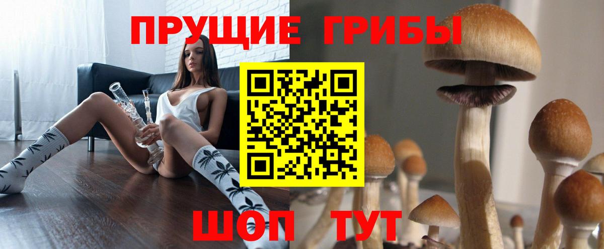 Псилоцибиновые грибы мухоморы Калуга
